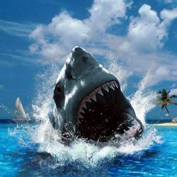 Tumačenje snova: morski pas je najgori neprijatelj čovjeka!